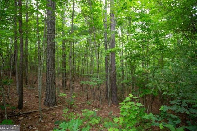 6480A Highway 52 W, Dahlonega, GA 30533