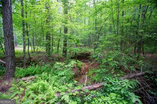 6480A Highway 52 W, Dahlonega, GA 30533