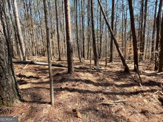 0 Joe Cook Road 3, Franklin, GA 30217