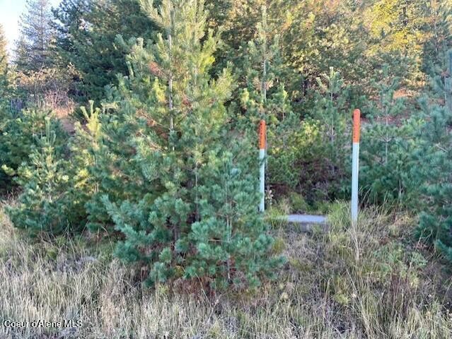 277 DIAMOND HITCH DR, Kellogg, ID 83837 property photo