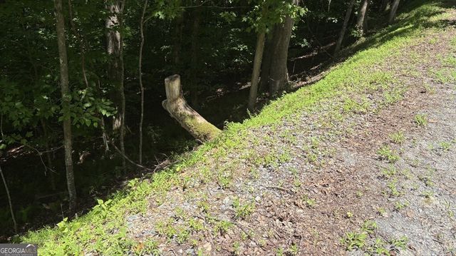 LT 781 Omen Circle, Ellijay, GA 30540