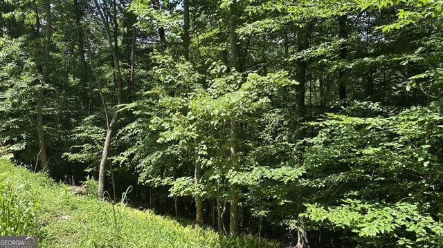 LT 781 Omen Circle, Ellijay, GA 30540