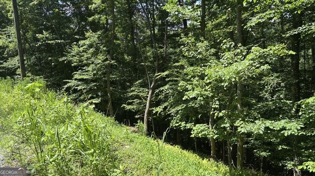 LT 781 Omen Circle, Ellijay, GA 30540