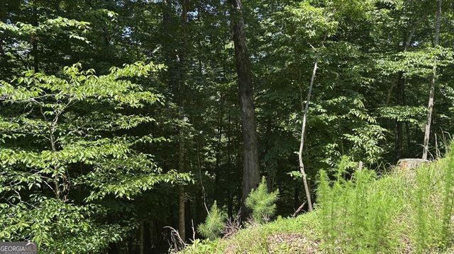 LT 781 Omen Circle, Ellijay, GA 30540