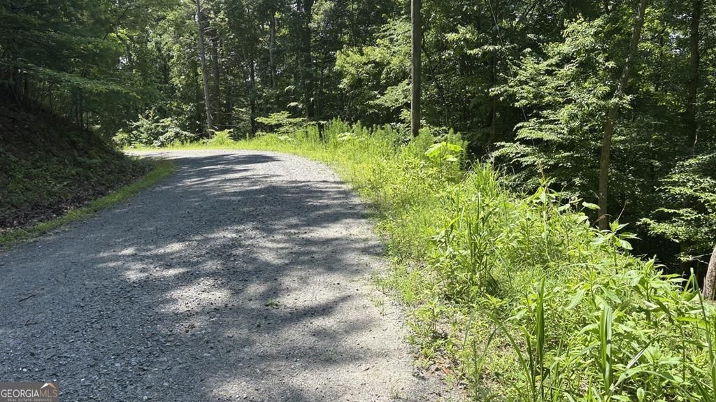 LT 781 Omen Circle, Ellijay, GA 30540