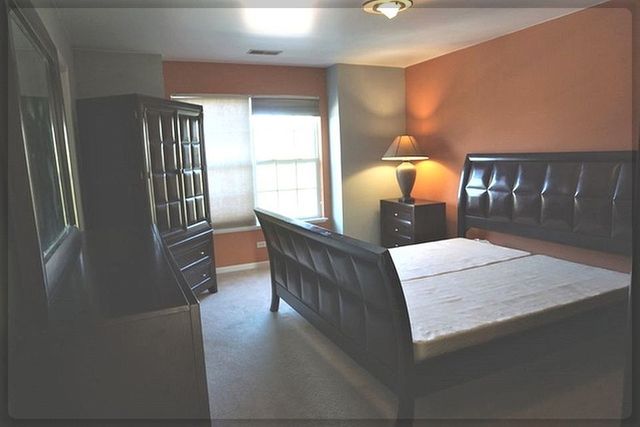 125 Rachel Avenue 505A, Willow Springs, IL 60480