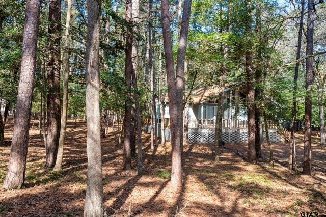 159 Cherrywood Lane, Holly Lake Ranch, TX 75765