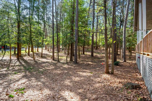 159 Cherrywood Lane, Holly Lake Ranch, TX 75765