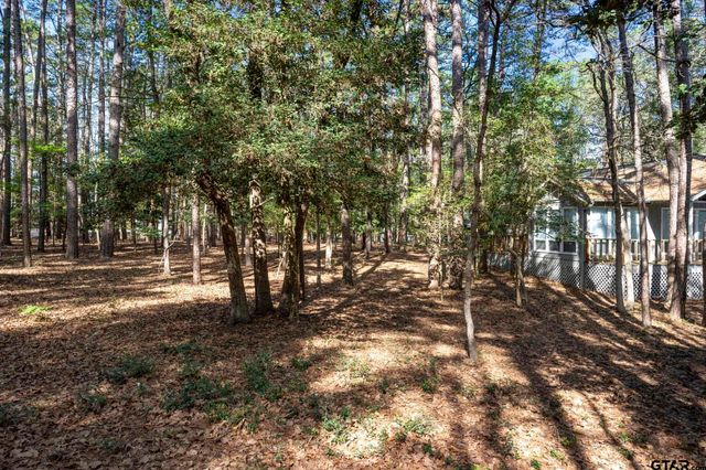 159 Cherrywood Lane, Holly Lake Ranch, TX 75765