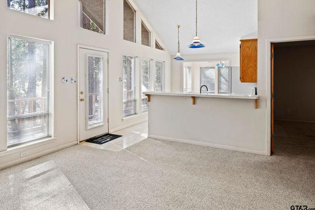 159 Cherrywood Lane, Holly Lake Ranch, TX 75765