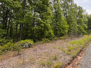 Lot 5 Shortcut DR, Woolwine, VA 24185