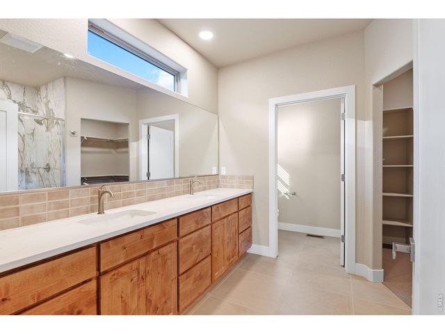 1168 Blue Agave Ct, Loveland, CO 80537