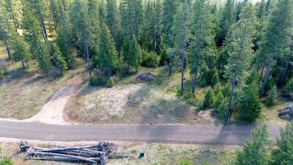 Lot 11 Lone Moose Dr, Plummer, ID 83851 photo 2