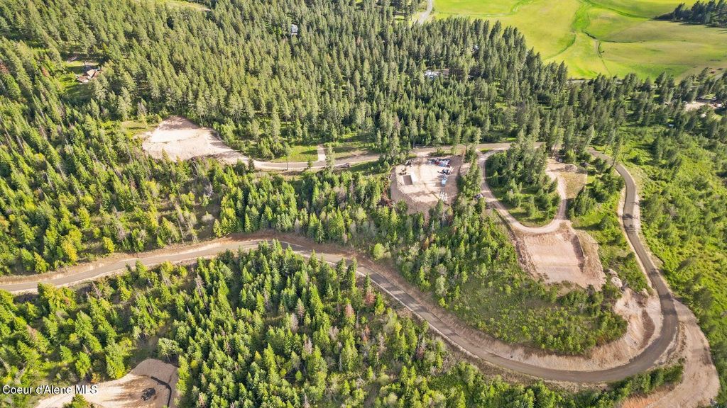 Lot 11 Lone Moose Dr, Plummer, ID 83851 photo 5
