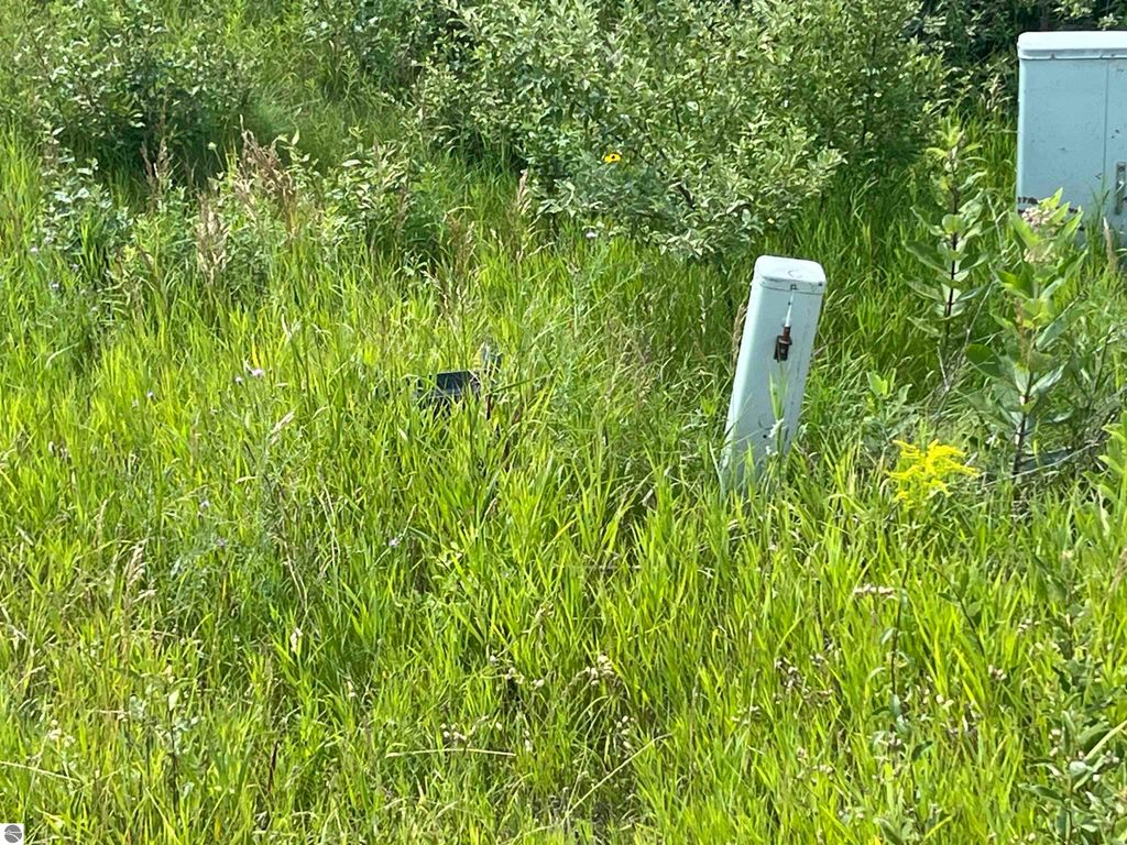 Image 5 of property listing at M-72, Williamsburg, MI 49690