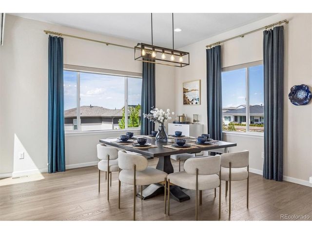 14307 Shasta Daisy Pt, Parker, CO 80134