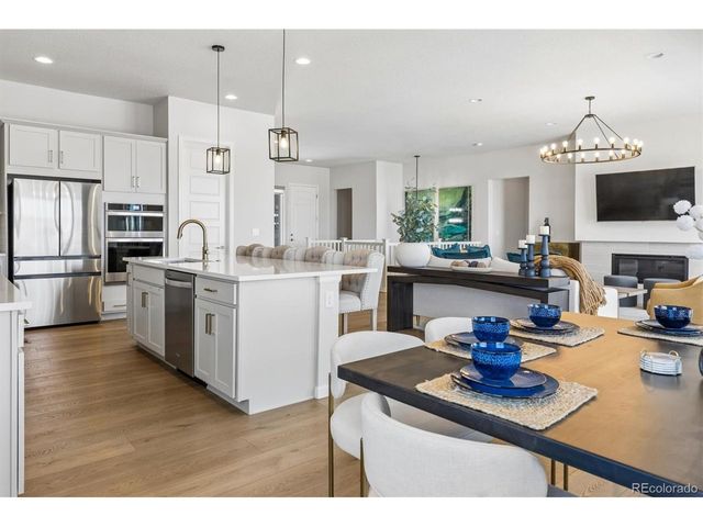 14307 Shasta Daisy Pt, Parker, CO 80134