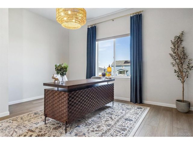 14307 Shasta Daisy Pt, Parker, CO 80134