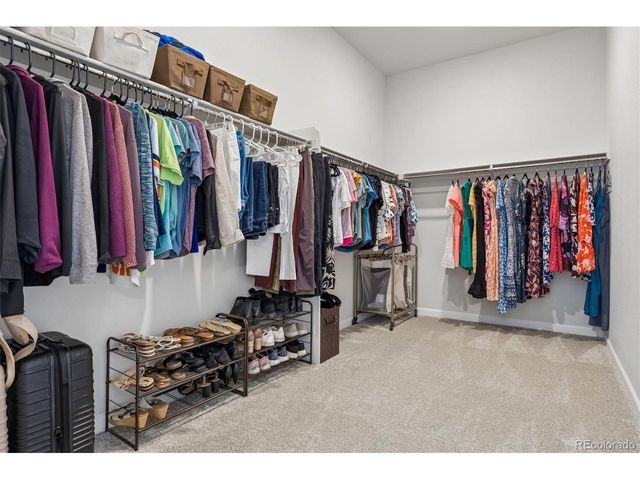14307 Shasta Daisy Pt, Parker, CO 80134