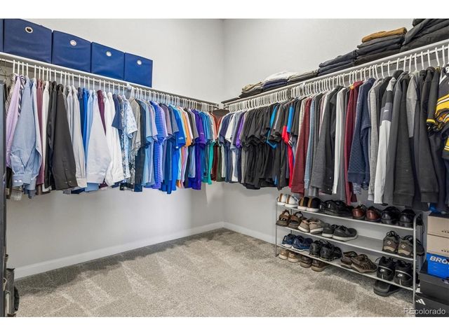 14307 Shasta Daisy Pt, Parker, CO 80134