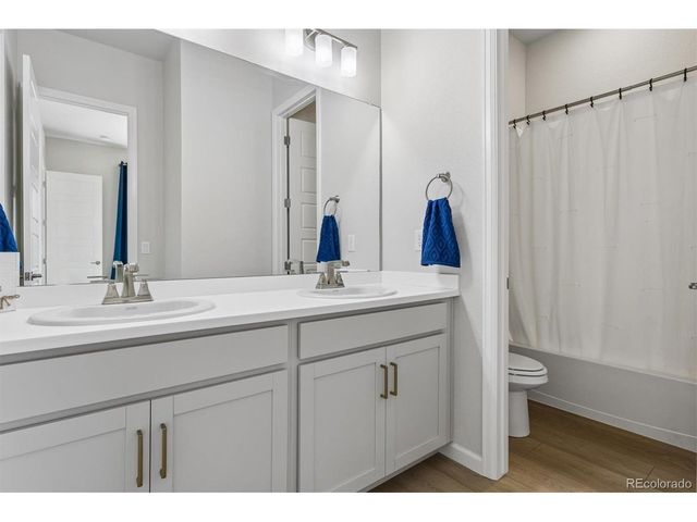 14307 Shasta Daisy Pt, Parker, CO 80134