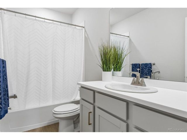 14307 Shasta Daisy Pt, Parker, CO 80134