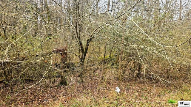 0 HIGHWAY 80, West Monroe, LA 71291