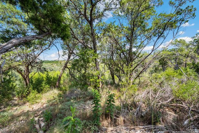 1484 Stahlman, New Braunfels, TX 78132