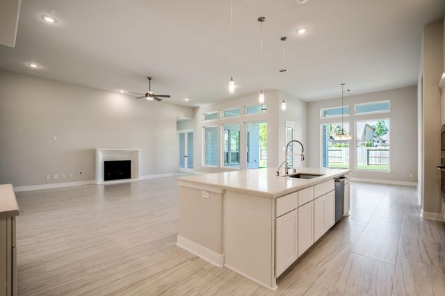 41818 Wendele Way, Todd Mission, TX 77316