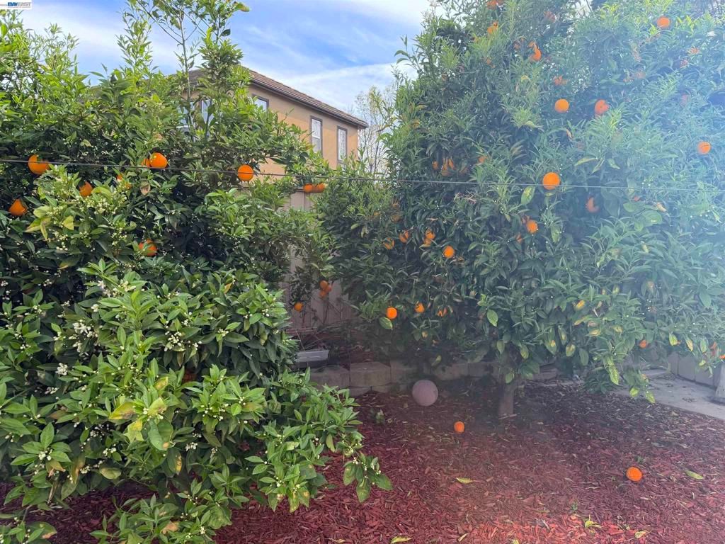Image 31 of property listing at 726 S Escuela Dr, Mountain House, CA 95391