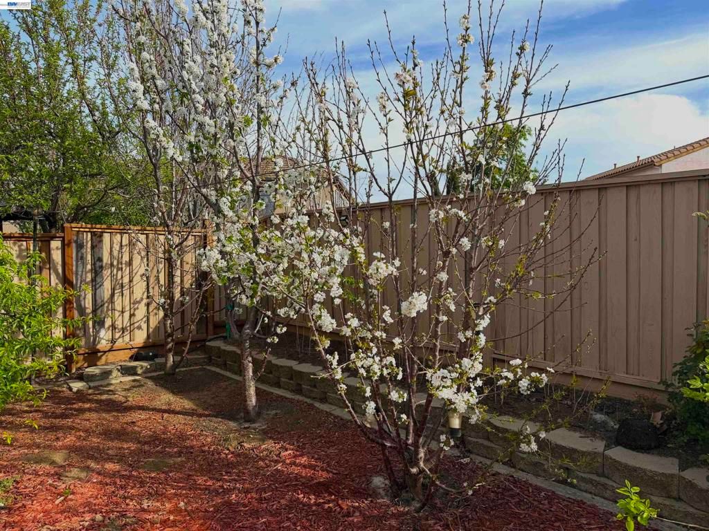 Image 37 of property listing at 726 S Escuela Dr, Mountain House, CA 95391