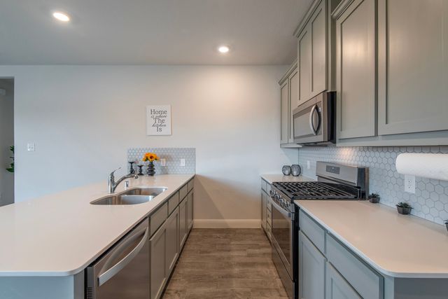 6017 Wildflower Way, Little Elm, TX 76227