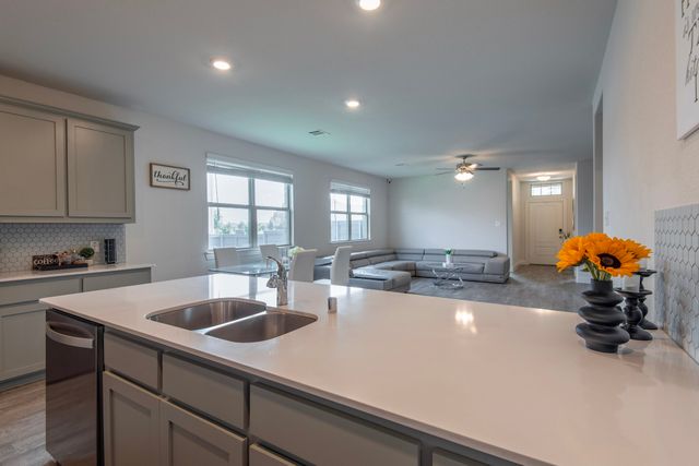 6017 Wildflower Way, Little Elm, TX 76227