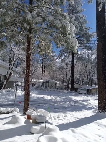 26350 Delano Dr 23, Idyllwild, CA 92549