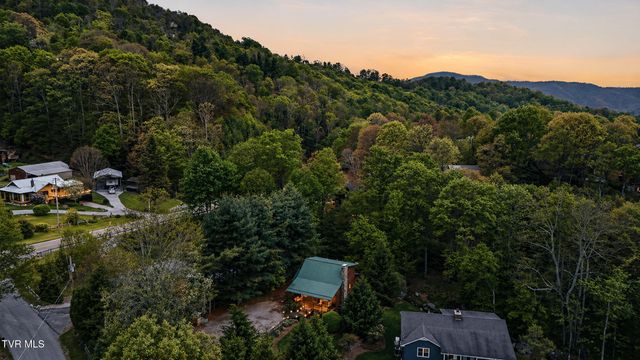 538 Burbank Road, Roan Mountain, TN 37687