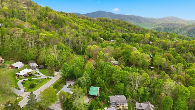 538 Burbank Road, Roan Mountain, TN 37687