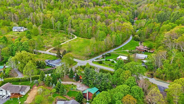 538 Burbank Road, Roan Mountain, TN 37687
