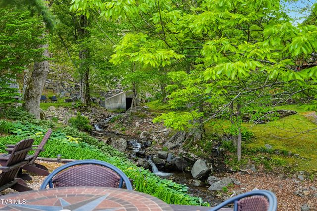 538 Burbank Road, Roan Mountain, TN 37687