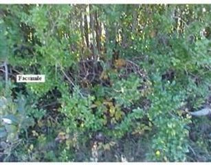 Lot 6 Tremont, Taunton, MA 02780