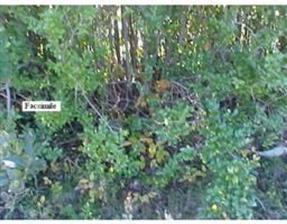 Lot 6 Tremont, Taunton, MA 02780
