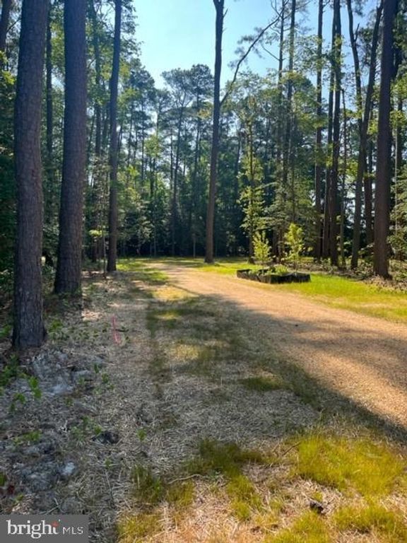 17328 SAINT JEROMES NECK RD, Dameron, MD 20628
