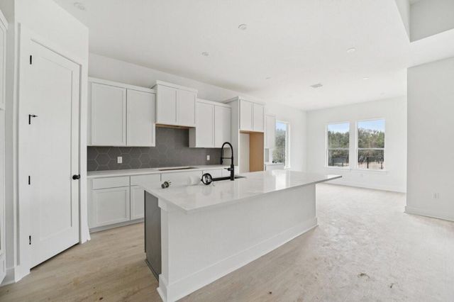 11212 Koko Cayuse TRL, Manor, TX 78653