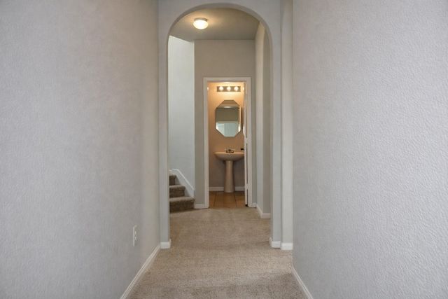 24934 Pavarotti Place, Katy, TX 77493