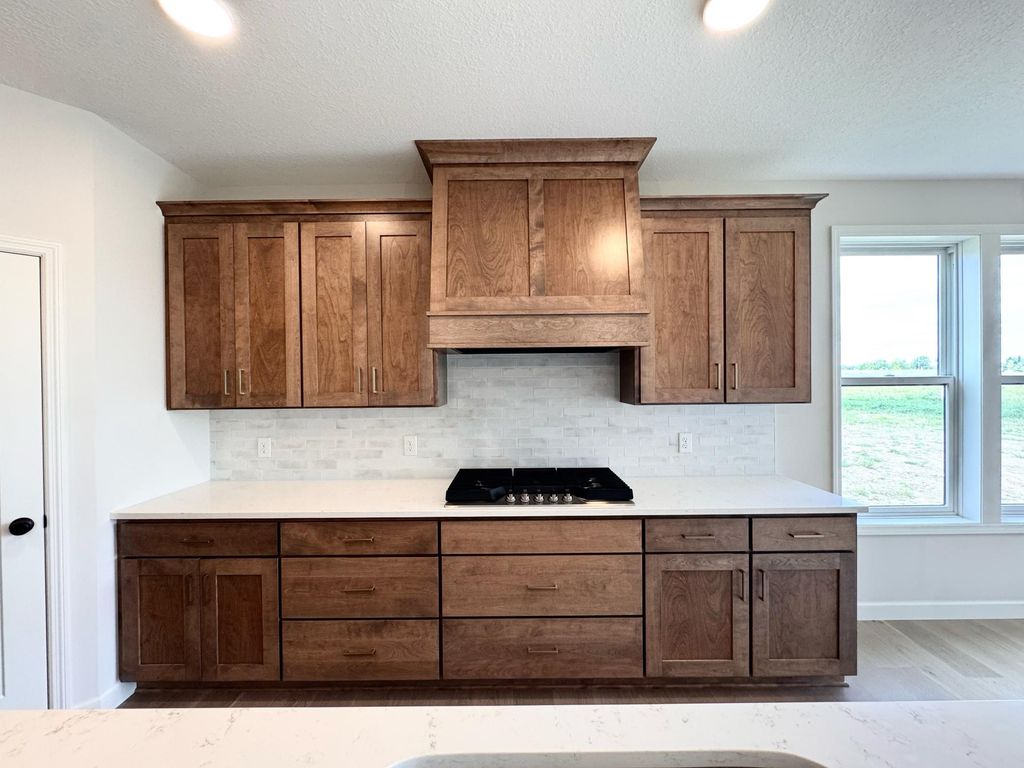 18661 Icebox Lane, Lakeville, MN 55044 — photo 3