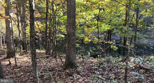 N FREDERICK PIKE, Winchester, VA 22603