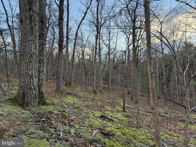 N FREDERICK PIKE, Winchester, VA 22603