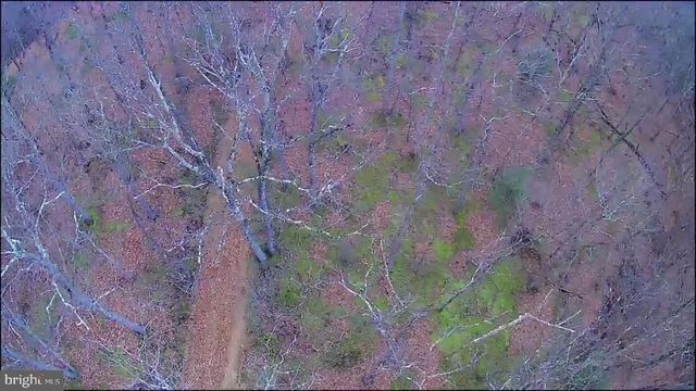 N FREDERICK PIKE, Winchester, VA 22603