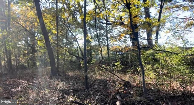 N FREDERICK PIKE, Winchester, VA 22603