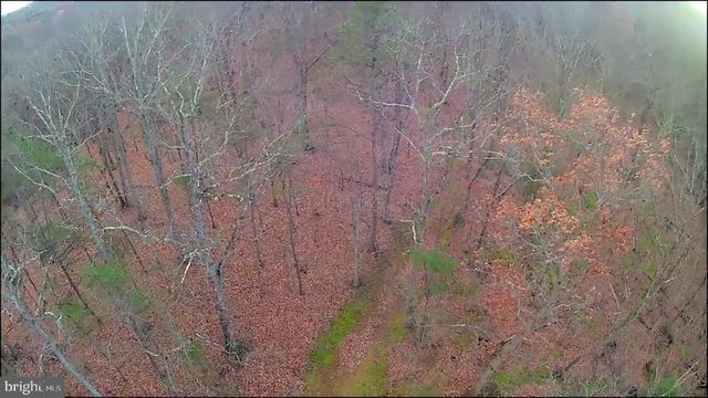 N FREDERICK PIKE, Winchester, VA 22603