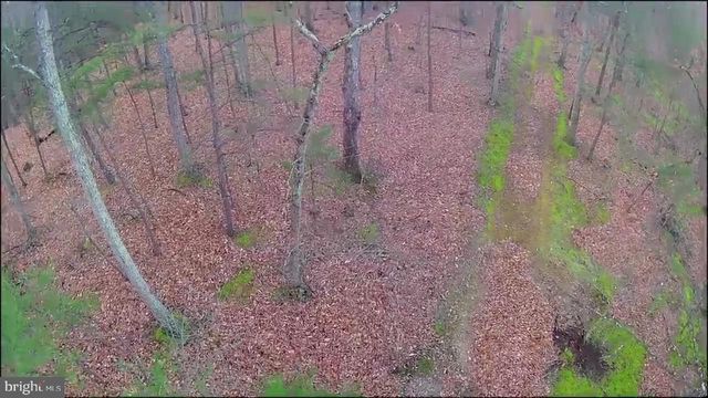 N FREDERICK PIKE, Winchester, VA 22603